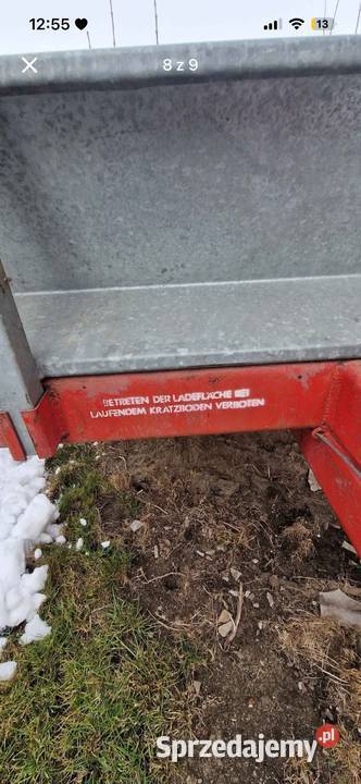 Rozrzutnik vogel and noot Konina