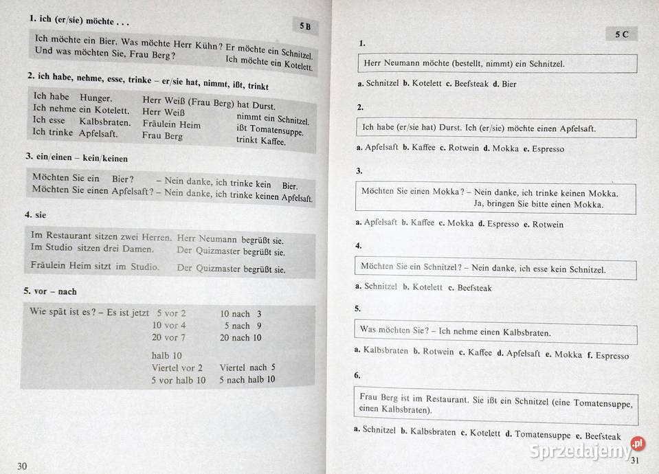 Deutsch 2000 Band 1 Renate Luscher Gerd Brosch Pozostałe