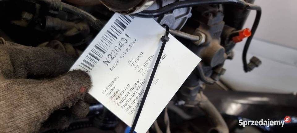 SILNIK SŁUPEK PEUGEOT 307 10DYVD 20 HDI 136 osobowe Lipno