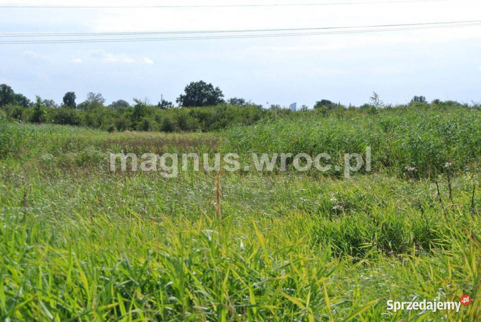 Działka rolna w sercu Wrocławia Widawą Kowale asfalt Wrocław