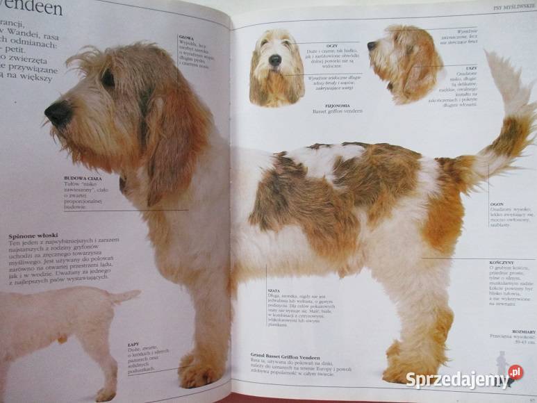 psy konie ptaki ryby rasy hodowla Łódź