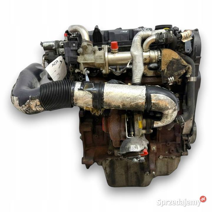 SILNIK G6DB Ford C C Focus MK2 20 TDCI 136 lubelskie Chełm