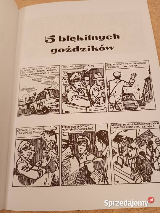 Kapitan Żbik Pięć błękitnych goździków Ongrys Łódź