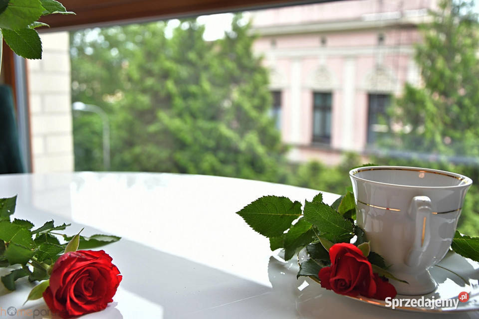 Mieszkanie 405m2 2 pokoje Wrocław Księcia