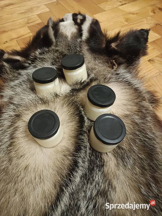 Sadło z borsuka myśliwego Jeżowe