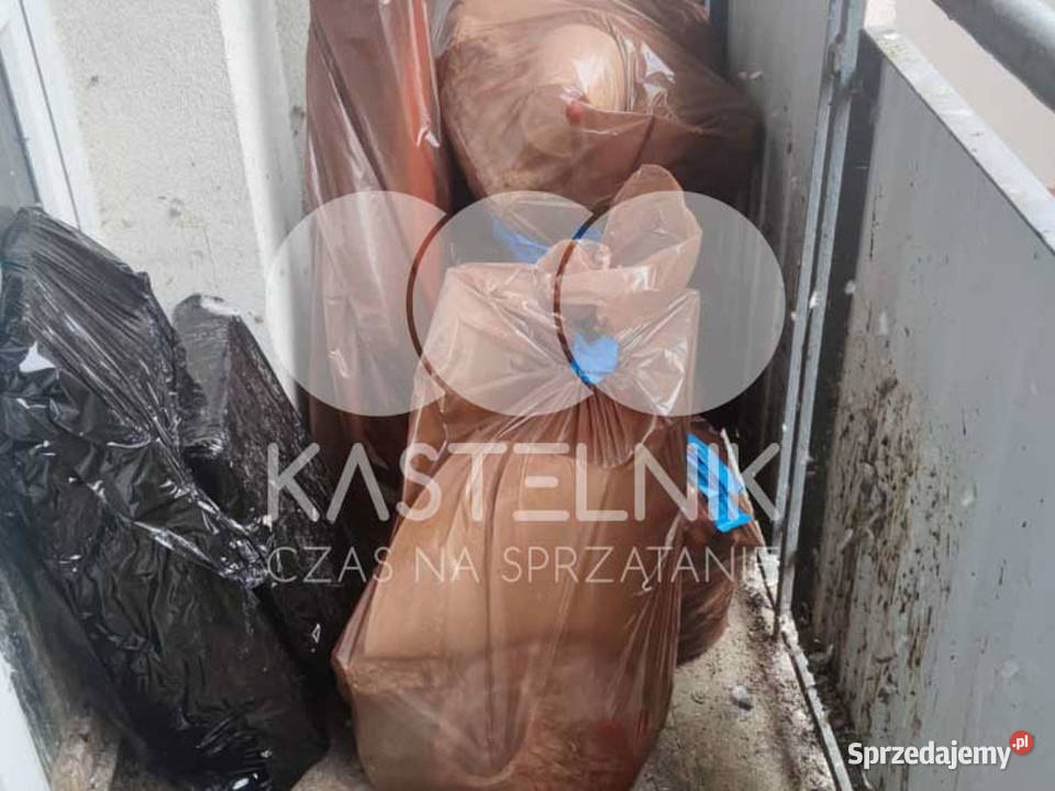 Sprzątanie gołębiach Toruń Kastelnik mycie kujawsko-pomorskie