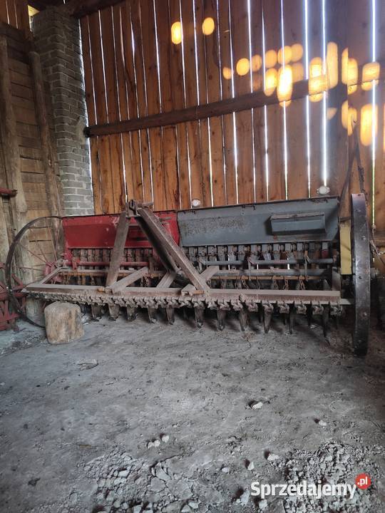 Siewnik zbożowy nieuszkodzony Drzewica