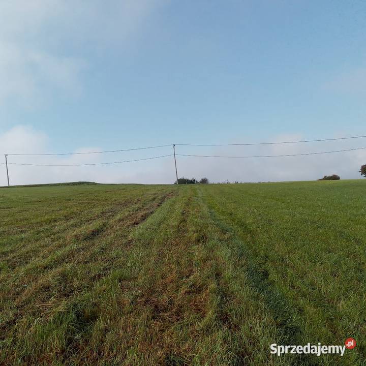 Sprzedam działkę rolną 92ar pod inwesty działka Żerosławice