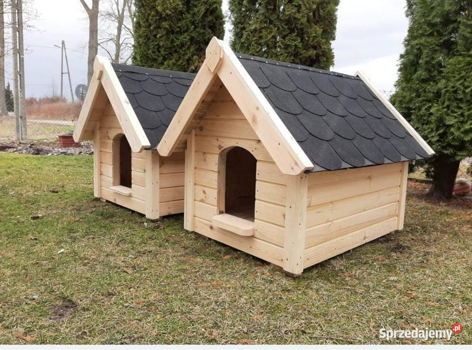 Buda Psa Dla psów wielkopolskie Pisarzowice