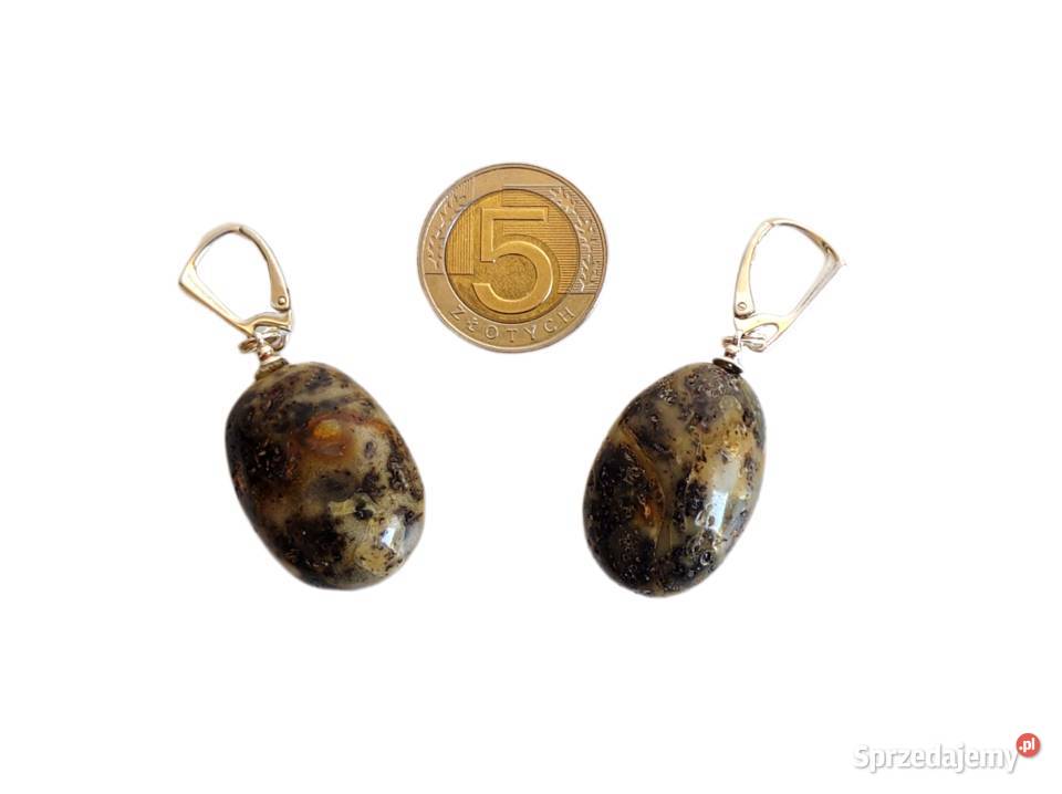 7488 Bursztynowe Kartofelki i Srebro opolskie Kędzierzyn-Koźle