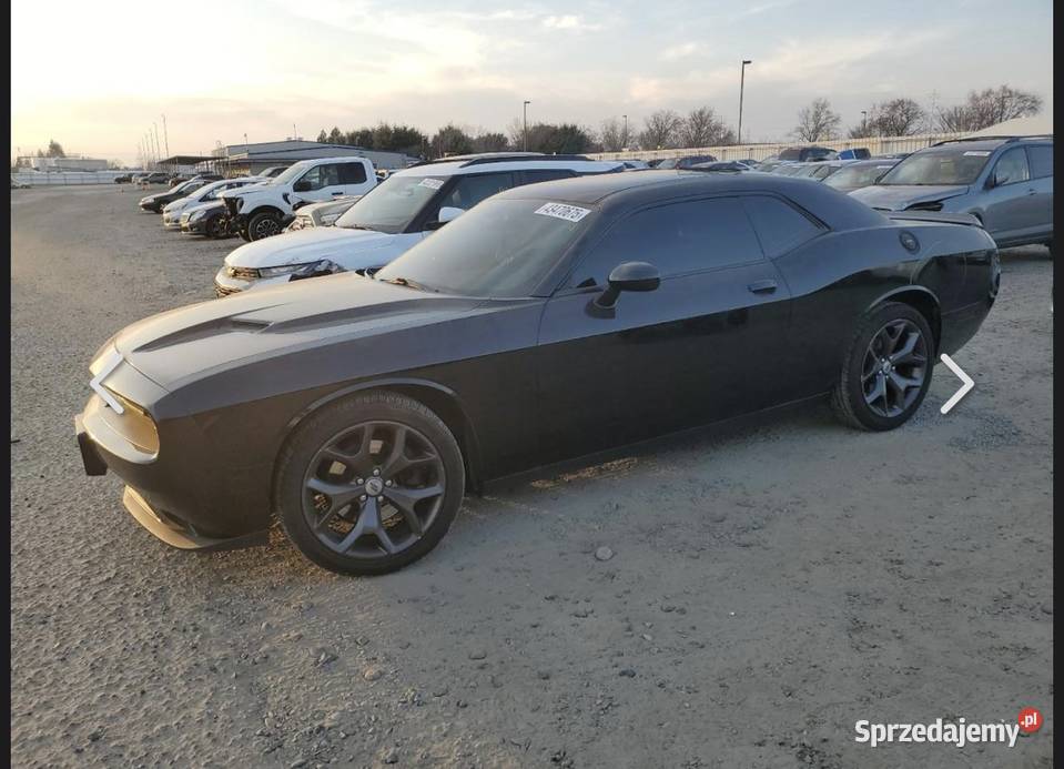 Dodge challenger Rzeszów