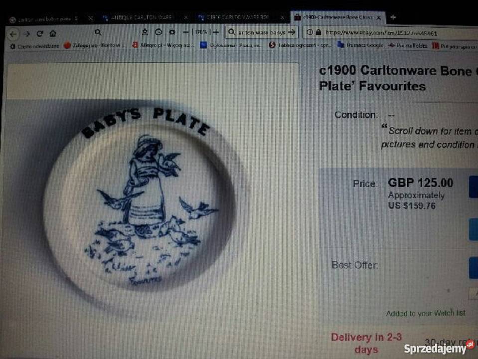 ANTYKstary angielski talerzCARLTON WARE18801900 wielokolorowy Akcesoria kuchenne Gdańsk