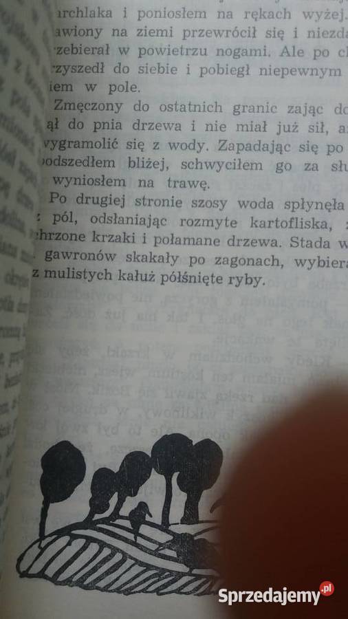 Niebieskie migdały Sygor książki antykwariaty Warszawa sprzedam