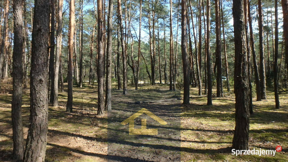 Teren do wynajęcia Otwock sprzedam