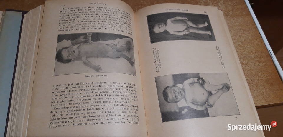 Encyklopedja ŻyciaT12 Rodowski Poznań1930 Iwno