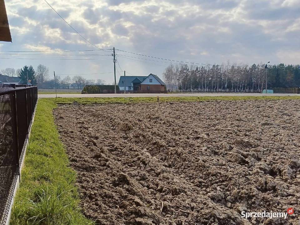 Działki budowlane Pierszyce gm Żabno małopolskie woda sprzedam