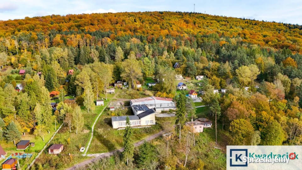 Sprzedaż lokalu 1750m2 Tylawa