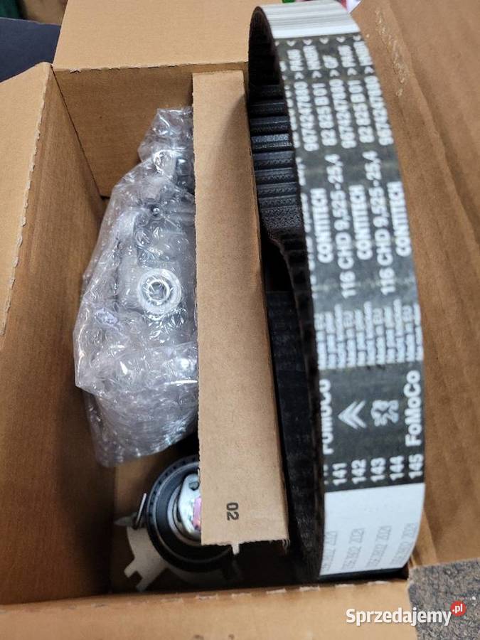 Rozrząd Ford 1876377 1559259 DS7Q8A615AA Radom