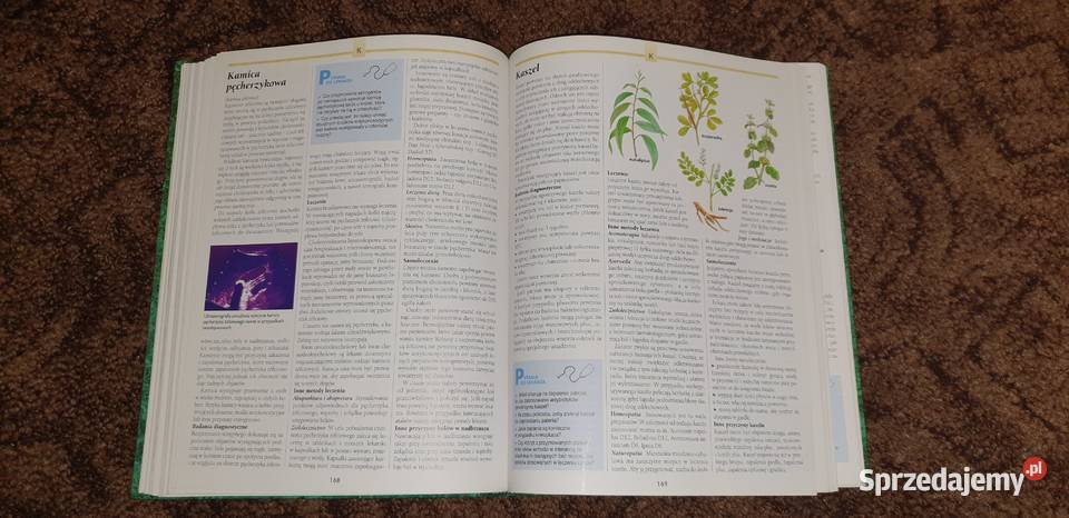 Rodzinna encyklopedia zdrowia Kraków