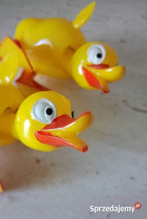 Kaczki z ruchomą główką Nakło nad Notecią