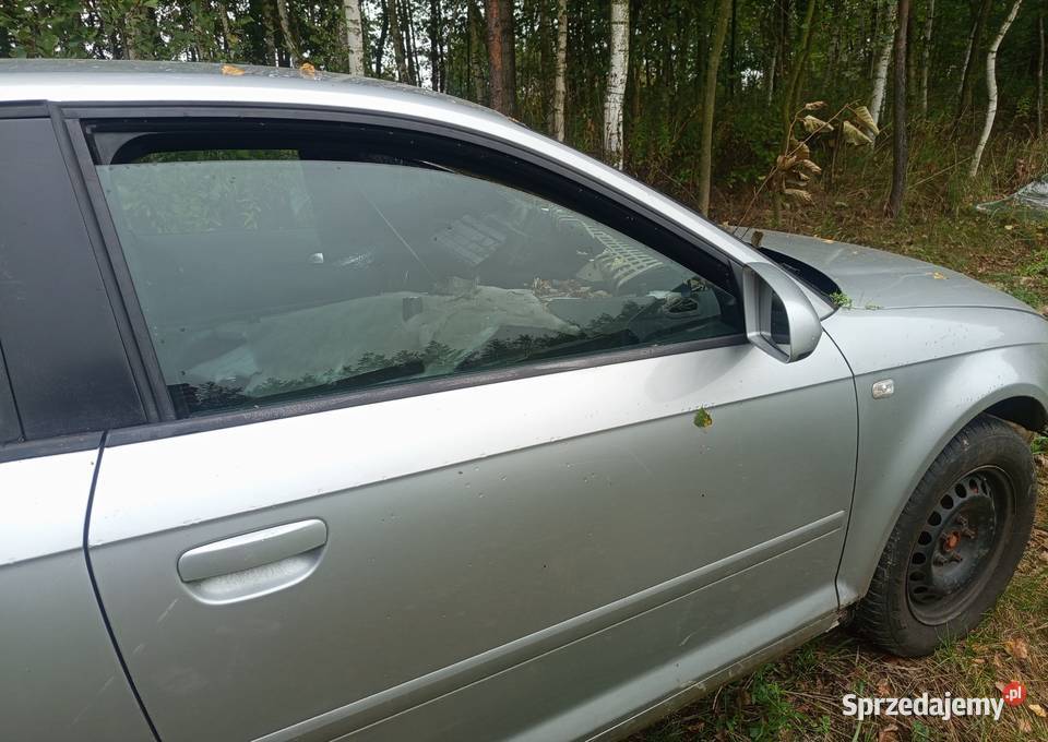 Audi A3 8 p 19 części dawca Motoryzacja podkarpackie Brzostek sprzedam