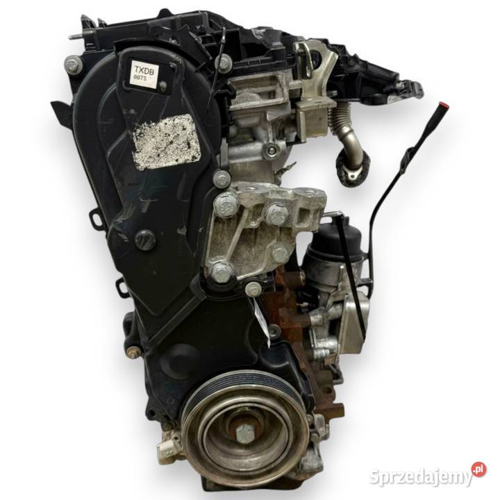 SILNIK TXDB Ford Focus III MK3 C C II 20 TDCI Silniki kompletne Chełm