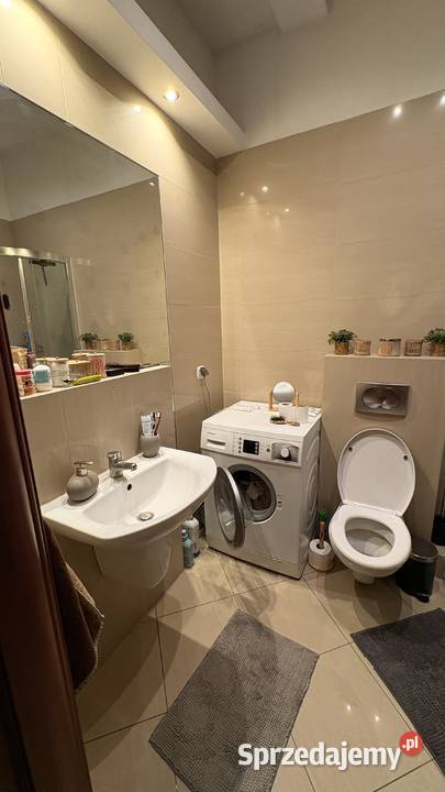 Wynajmę mieszkanie w centrum Gdańska Mieszkania