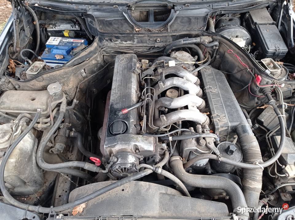 MercedesBenz 250 TD Kombi 69 kW 1992 r dawca Szklarka Myślniewska