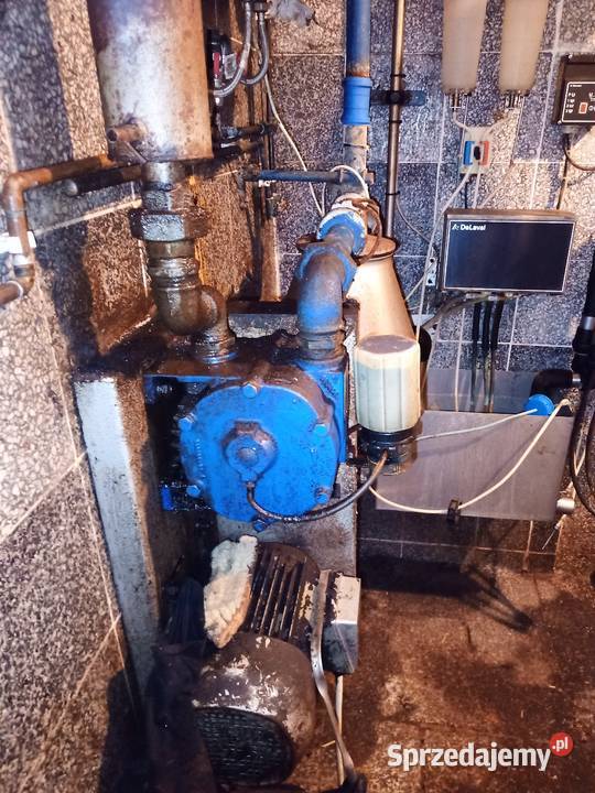 Dojarka przewodowa Alfa Laval Złotów