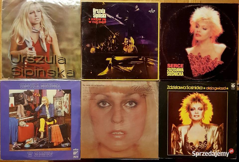 Zestaw winyli na gramofonDyskografia Polski POP Płyty i kasety Warszawa sprzedam