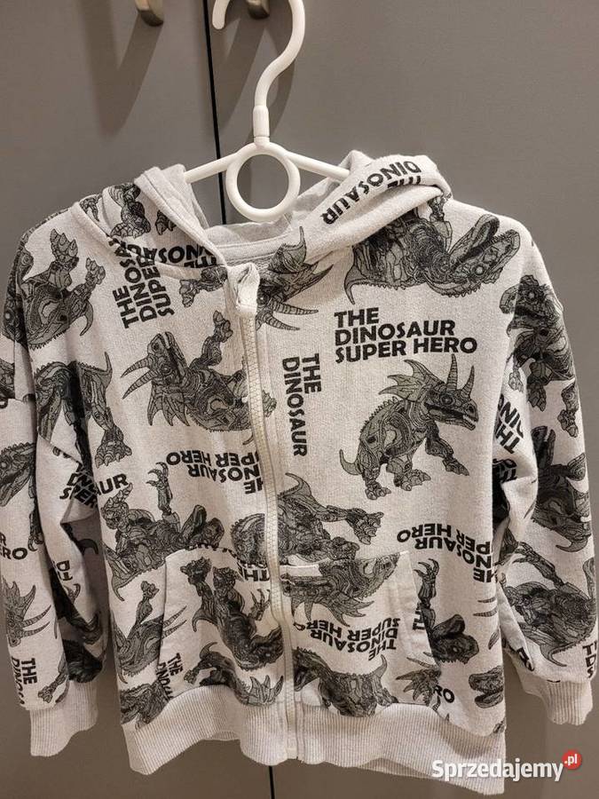 Bluzy rozmiar 116 Jarosław