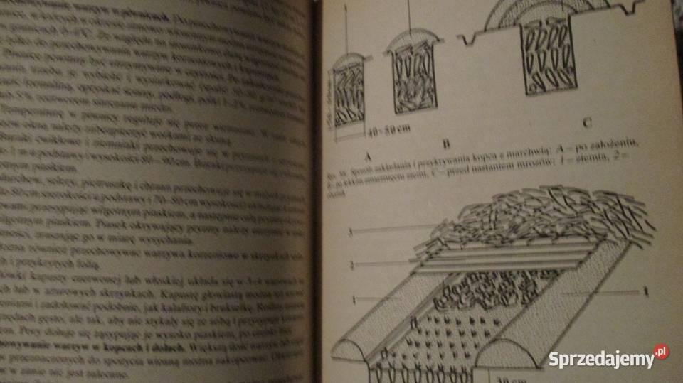 Działka moje hobby działka ogrodnictwo ogród Łódź