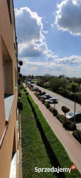 Mieszkanie 3 pokojowe w Brzegu Dolnym dolnośląskie Brzeg Dolny