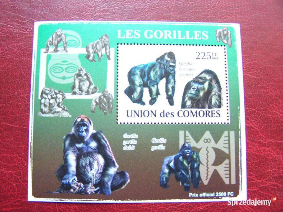 Komory 2009 MNH Fauna Goryle Nakład 2500 Tychy