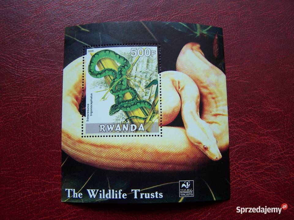 Rwanda 2003 MNH Fauna Wąż Tychy