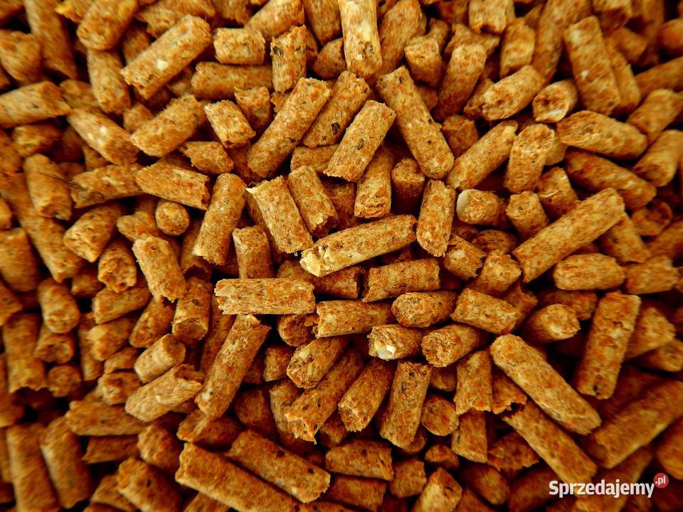 Czyszczenie pieca na pellet kominka Wrocław