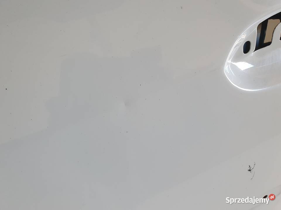 DRZWI LEWY TYŁ Dacia Logan I VAN 20042012 lewe lubelskie Chełm