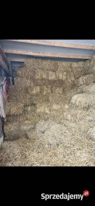 Słoma 2025 sucha Krasnobród