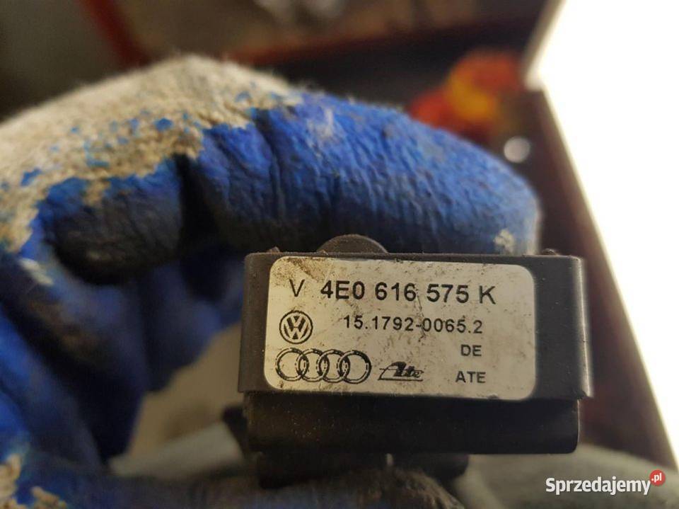 CZUJNIK S8 D3 4E0616575K kujawsko-pomorskie Lipno