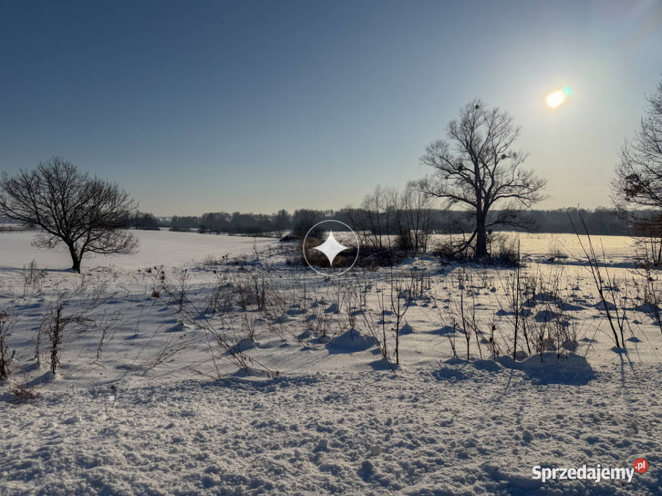 Działka rolno budowalna w Ludwinowie gm Chełm Ludwinów sprzedam