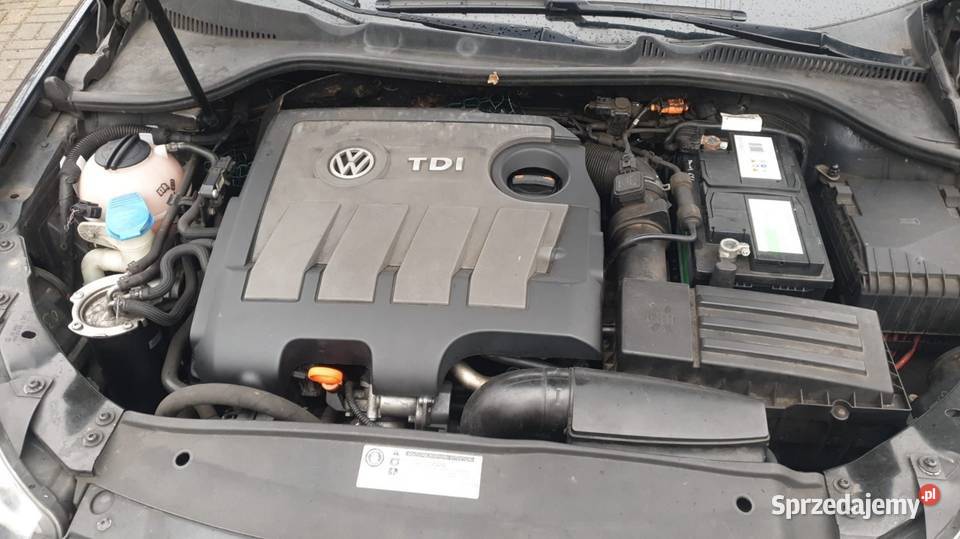 Volkswagen Golf 6 16 TDI PANORAMA 250000km Leszno