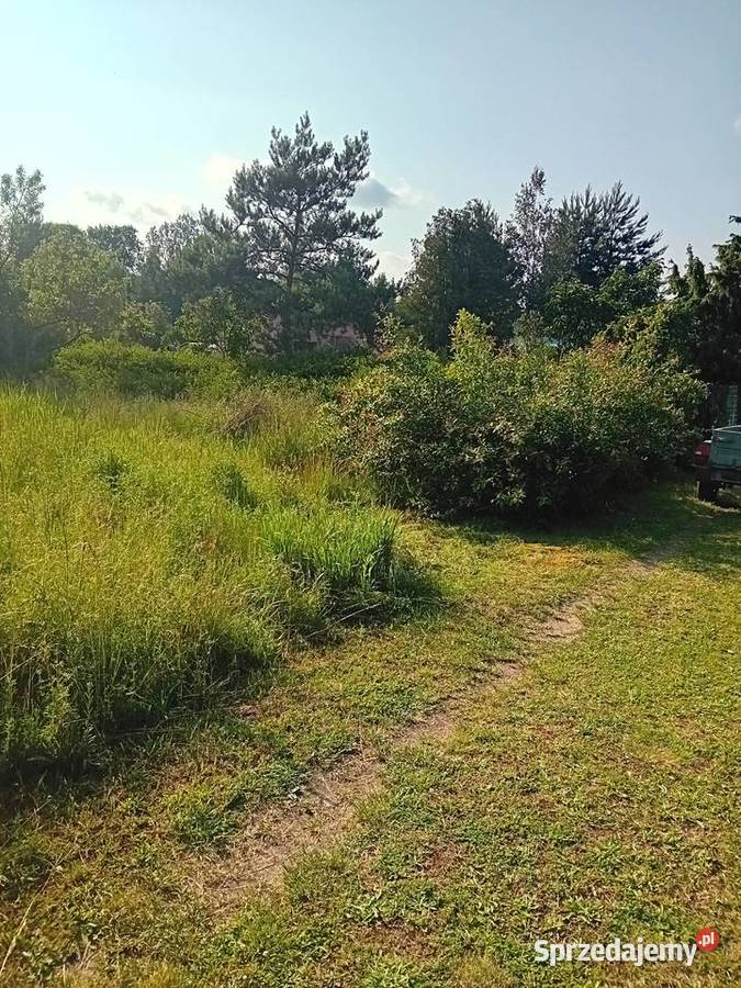 Usługi ogrodniczesprzątanie działek Lubartów