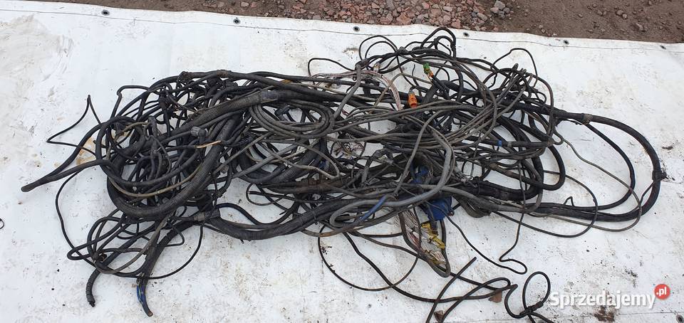 MAN TGA INSTALACJA ELEKTRYCZNA Bieleń sprzedam