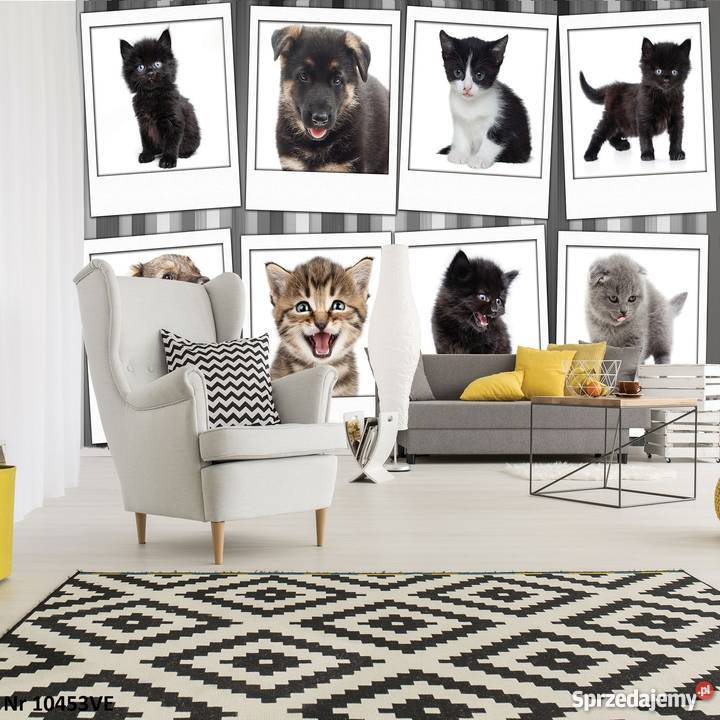 Tapeta fototapeta Pieski i kotki Leszno sprzedam