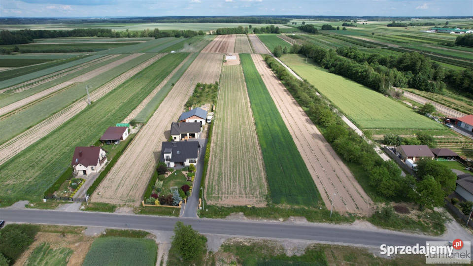 sprzedaży działki 2364 metry Tarnogród