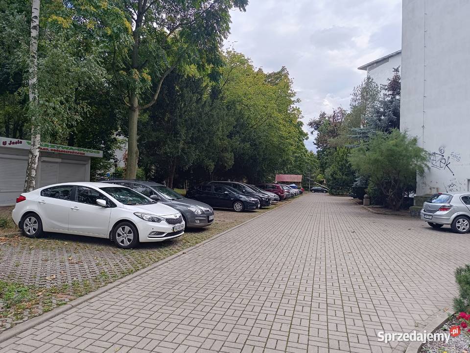 Mieszkanie na sprzedaż Wrocław Krzyki Borek pom. użytkowe