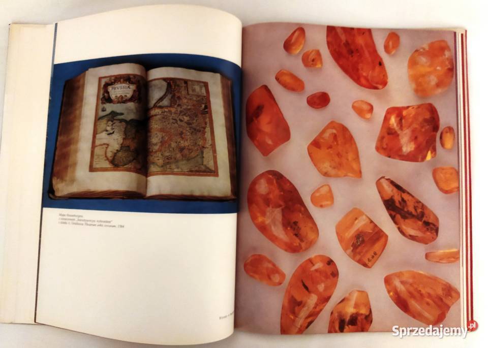 Polski bursztyn książka Rzeszów