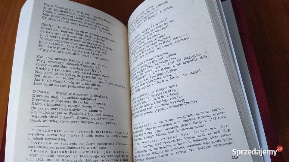 Z Mare Tenebrarum na słoneczny Hel w kręgu myśli pomorskie Gdańsk sprzedam