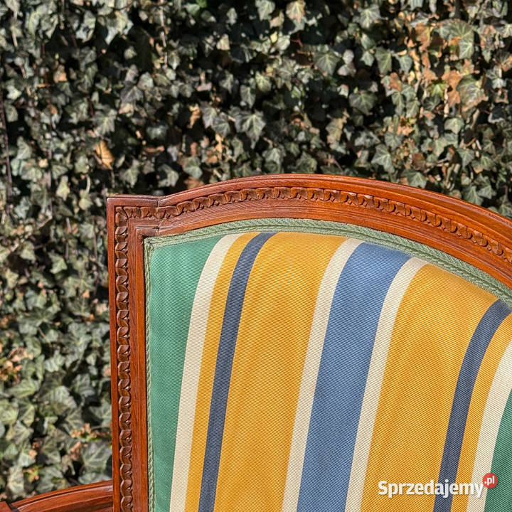 ARTexpert Para Francuskich foteli Ludwik XVI zachodniopomorskie