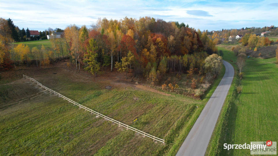 Działka 4182m2 TeodorówkaKolonia woda lubelskie